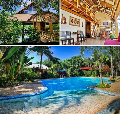 fukuyama farm resort|7 Best Farm Stays with Pool in Pampanga (Near Manila).